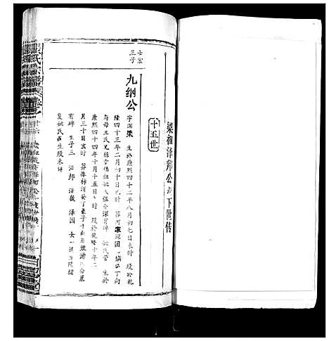 [下载][张氏宗谱_35卷首1卷]湖北.张氏家谱_十七.pdf