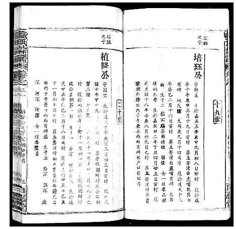 [下载][张氏宗谱_35卷首1卷]湖北.张氏家谱_三十一.pdf