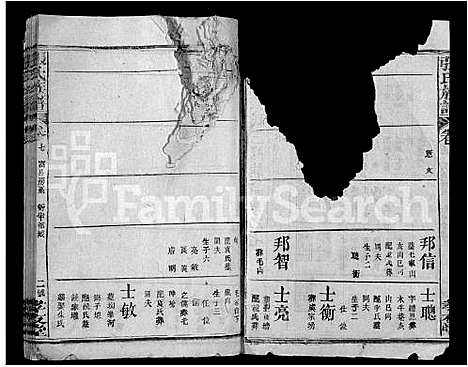 [下载][张氏族谱_22卷首1卷]湖北.张氏家谱_八.pdf