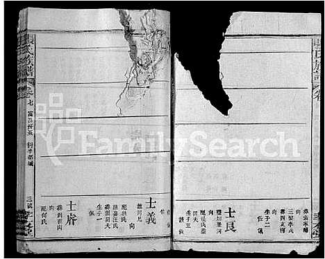 [下载][张氏族谱_22卷首1卷]湖北.张氏家谱_八.pdf