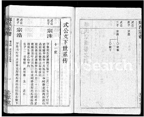 [下载][郑氏宗谱_10卷首5卷]湖北.郑氏家谱_十三.pdf