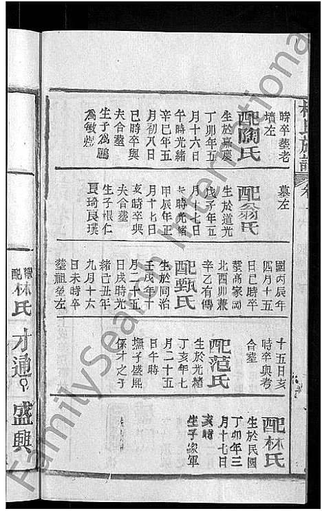 [下载][杜氏族谱_31卷首4卷]湖北.杜氏家谱_十三.pdf