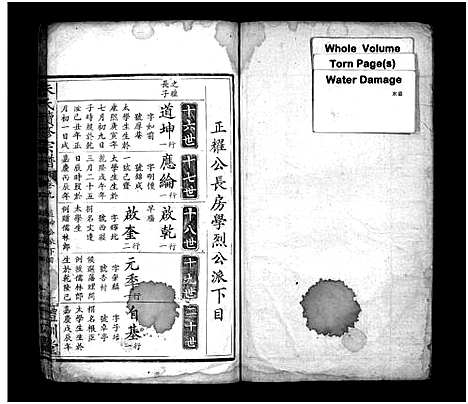 [下载][朱氏续修宗谱_总卷数不详]湖北.朱氏续修家谱_八.pdf