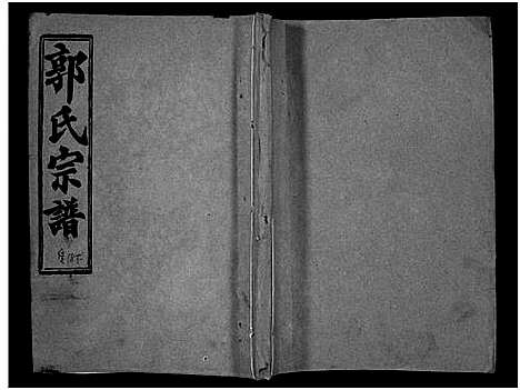 [下载][汾阳郭氏十一修族谱_世系16卷_世传60卷首7卷_郭氏宗谱_郭氏十一修族谱_汾阳郭氏十一修族谱]湖北.汾阳郭氏十一修家谱_五十四.pdf