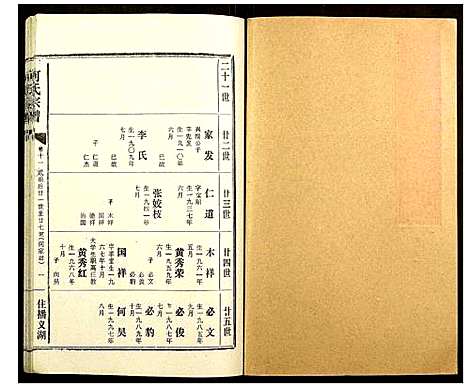 [下载][何氏宗谱]湖北.何氏家谱_十一.pdf