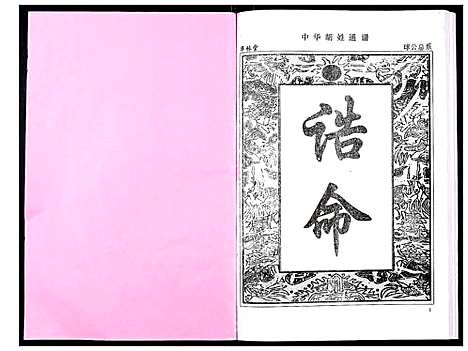 [下载][中华胡姓通谱]湖北.中华胡姓通谱_二十二.pdf