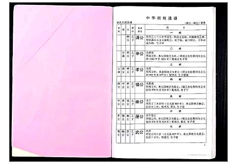 [下载][中华胡姓通谱]湖北.中华胡姓通谱_四十六.pdf