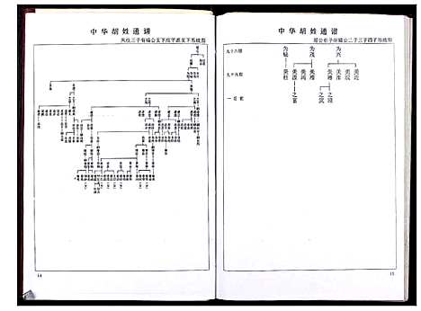 [下载][中华胡姓通谱]湖北.中华胡姓通谱_五十五.pdf