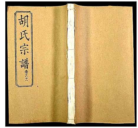 [下载][胡氏宗谱]湖北.胡氏家谱_十四.pdf