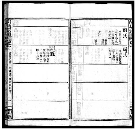 [下载][胡氏宗谱_20卷首4卷_胡氏续修宗谱_楚黄胡氏宗谱]湖北.胡氏家谱_十.pdf