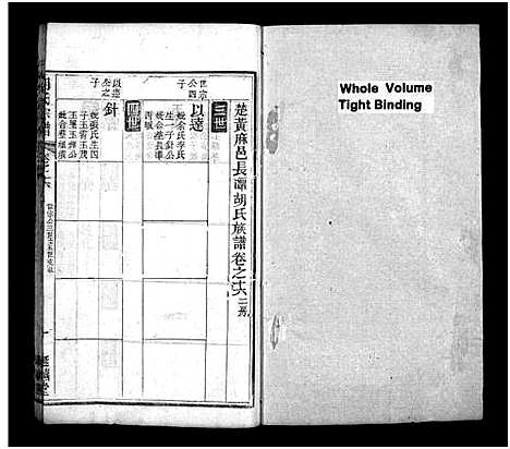 [下载][胡氏宗谱_20卷首4卷]湖北.胡氏家谱_二十.pdf