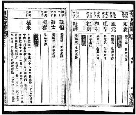 [下载][胡氏宗谱_21卷_胡氏合修宗谱]湖北.胡氏家谱_二十一.pdf