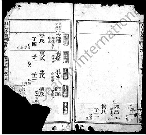 [下载][胡氏宗谱_9卷首4卷]湖北.胡氏家谱_九.pdf