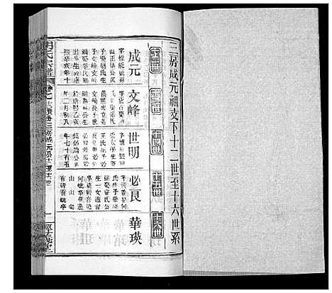 [下载][胡氏宗谱_21卷首2卷]湖北.胡氏家谱_十五.pdf