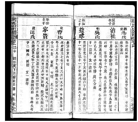 [下载][胡氏宗谱_28卷首5卷]湖北.胡氏家谱_二十.pdf