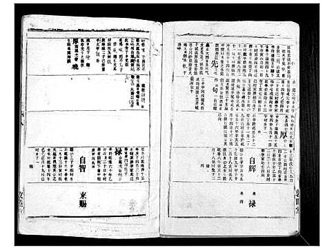 [下载][胡氏宗谱_69卷]湖北.胡氏家谱_四十五.pdf