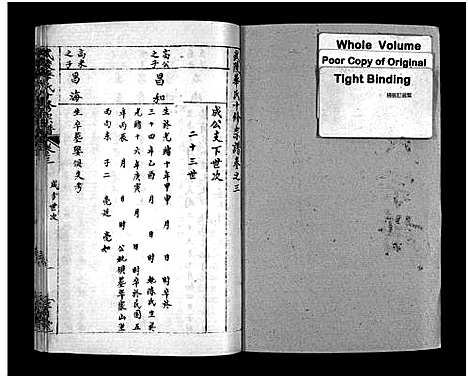 [下载][武陵华氏十修宗谱_按房分卷_华氏宗谱_武陵华氏十修宗谱]湖北.武陵华氏十修家谱_四.pdf