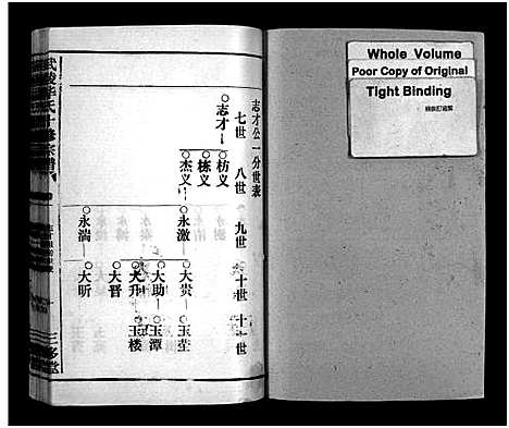 [下载][武陵华氏十修宗谱_按房分卷_华氏宗谱_武陵华氏十修宗谱]湖北.武陵华氏十修家谱_十八.pdf