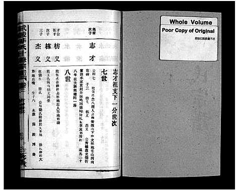 [下载][武陵华氏十修宗谱_按房分卷_华氏宗谱_武陵华氏十修宗谱]湖北.武陵华氏十修家谱_十九.pdf