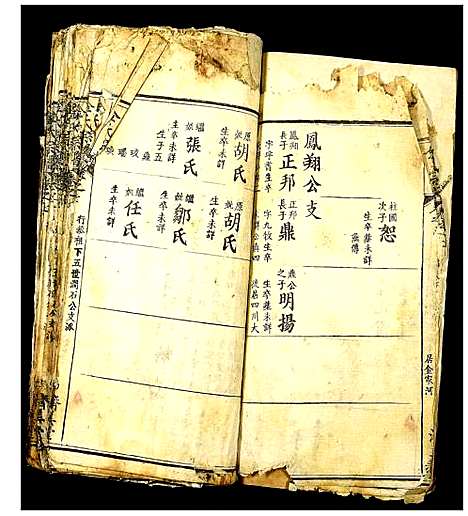 [下载][金氏宗谱]湖北.金氏家谱_十七.pdf