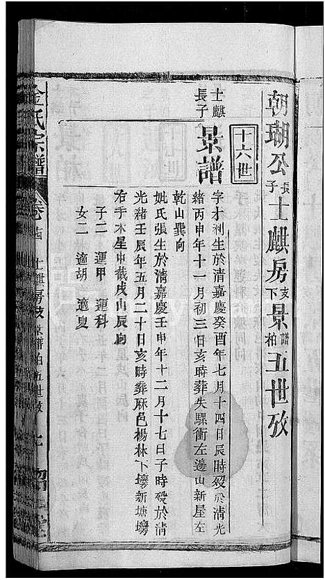 [下载][金氏宗谱_16卷首4卷]湖北.金氏家谱_十一.pdf