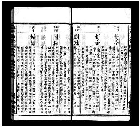 [下载][廖氏七修宗谱_37卷首3卷_廖氏宗谱]湖北.廖氏七修家谱_九.pdf