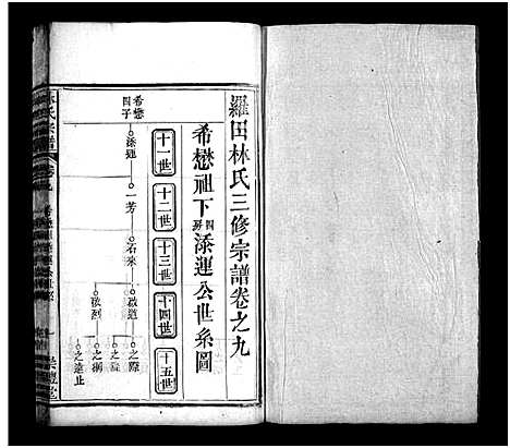 [下载][罗田林氏三修宗谱_27卷首3卷_林氏宗谱]湖北.罗田林氏三修家谱_十一.pdf