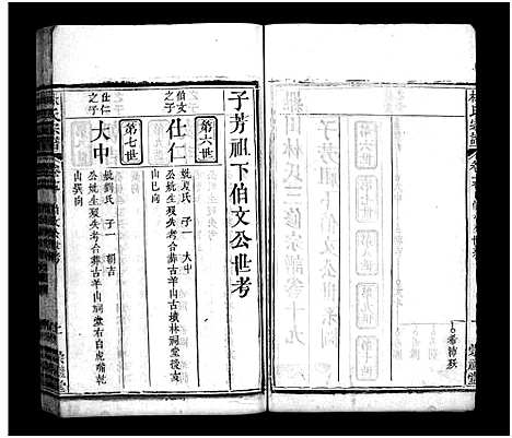 [下载][罗田林氏三修宗谱_27卷首3卷_林氏宗谱]湖北.罗田林氏三修家谱_十九.pdf