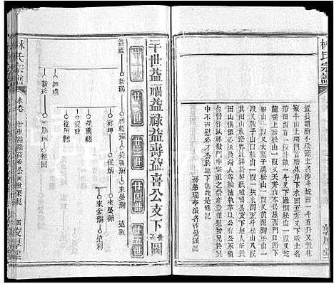 [下载][林氏宗谱_14卷]湖北.林氏家谱_十三.pdf