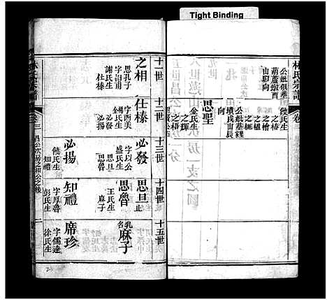 [下载][西陵林氏宗谱_10卷首3卷_林氏宗谱]湖北.西陵林氏家谱_六.pdf