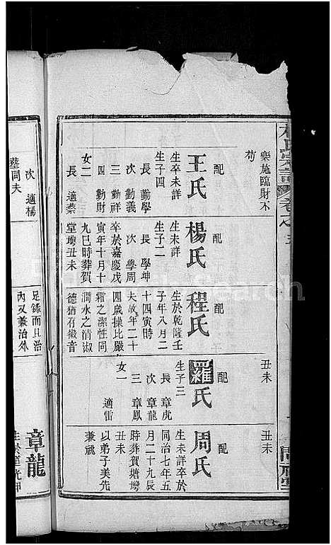 [下载][林氏宗谱_27卷_西陵林氏续修宗谱]湖北.林氏家谱_十九.pdf