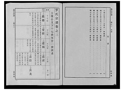 [下载][罗氏宗谱_8卷首2卷]湖北.罗氏家谱_五.pdf