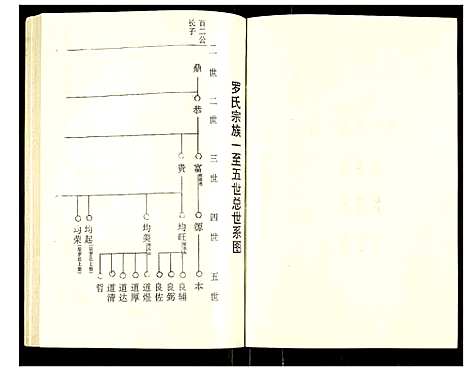 [下载][罗氏族谱]湖北.罗氏家谱_三十.pdf