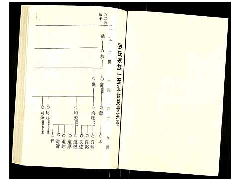 [下载][罗氏族谱]湖北.罗氏家谱_四十四.pdf