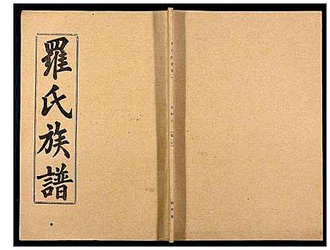 [下载][罗氏族谱_18卷首2卷附1卷]湖北.罗氏家谱_三.pdf