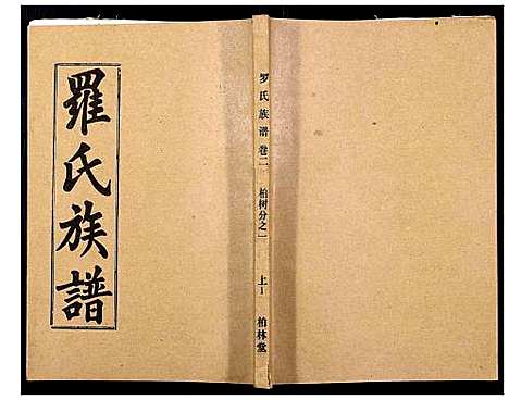 [下载][罗氏族谱_18卷首2卷附1卷]湖北.罗氏家谱_四.pdf