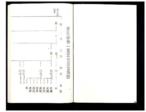 [下载][罗氏族谱_18卷首2卷附1卷]湖北.罗氏家谱_六.pdf