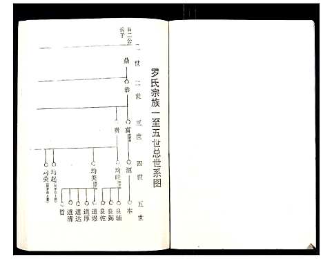 [下载][罗氏族谱_18卷首2卷附1卷]湖北.罗氏家谱_十.pdf