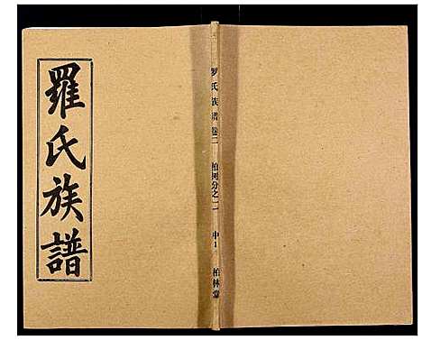 [下载][罗氏族谱_18卷首2卷附1卷]湖北.罗氏家谱_十一.pdf