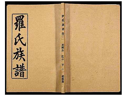 [下载][罗氏族谱_18卷首2卷附1卷]湖北.罗氏家谱_十三.pdf