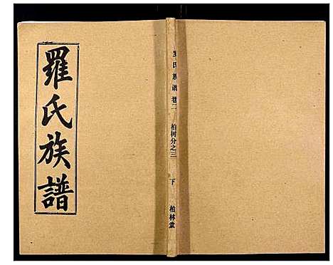 [下载][罗氏族谱_18卷首2卷附1卷]湖北.罗氏家谱_十七.pdf