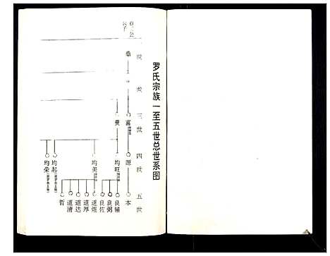 [下载][罗氏族谱_18卷首2卷附1卷]湖北.罗氏家谱_十九.pdf