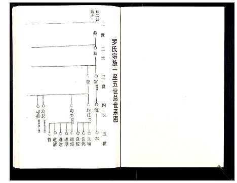 [下载][罗氏族谱_18卷首2卷附1卷]湖北.罗氏家谱_三十.pdf