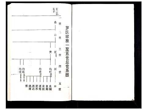 [下载][罗氏族谱_18卷首2卷附1卷]湖北.罗氏家谱_四十.pdf