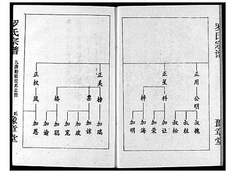 [下载][罗氏宗谱]湖北.罗氏家谱_五.pdf