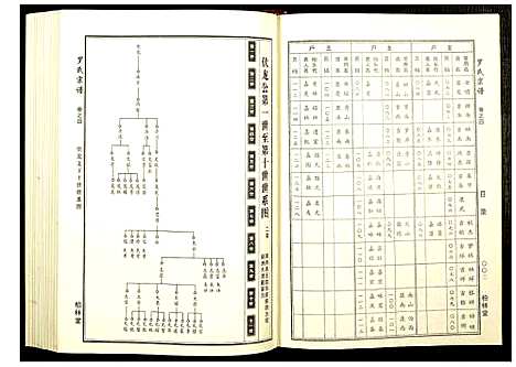 [下载][罗氏宗谱]湖北.罗氏家谱_二.pdf