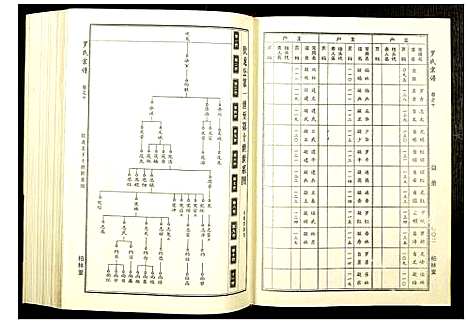 [下载][罗氏宗谱]湖北.罗氏家谱_五.pdf