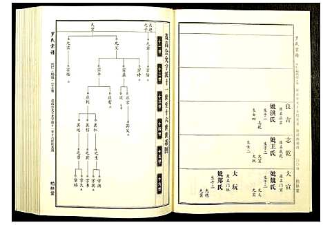 [下载][罗氏宗谱]湖北.罗氏家谱_十一.pdf