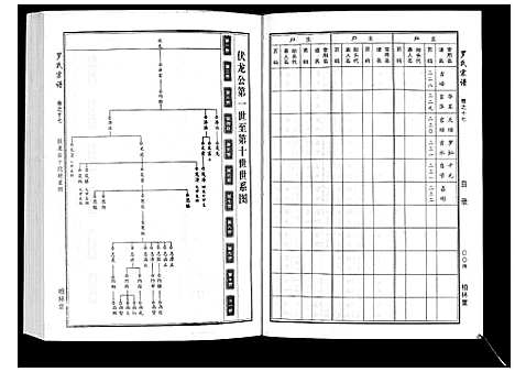 [下载][罗氏宗谱]湖北.罗氏家谱_八.pdf