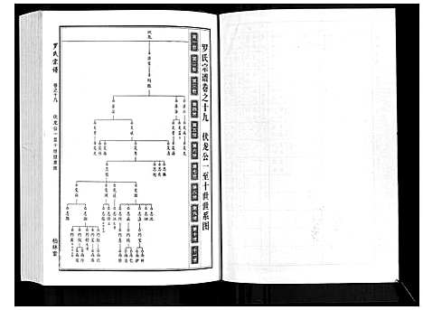 [下载][罗氏宗谱]湖北.罗氏家谱_九.pdf